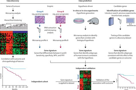 gian antonio da prada|Gene expression profiling and prediction of response to hormonal .